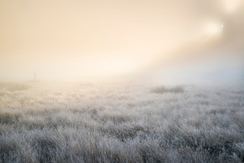 Chronic Fatigue, Histamine, and MCAS: What If Your Exhaustion Has an Immune Root?