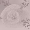 What is Histamine and MCAS