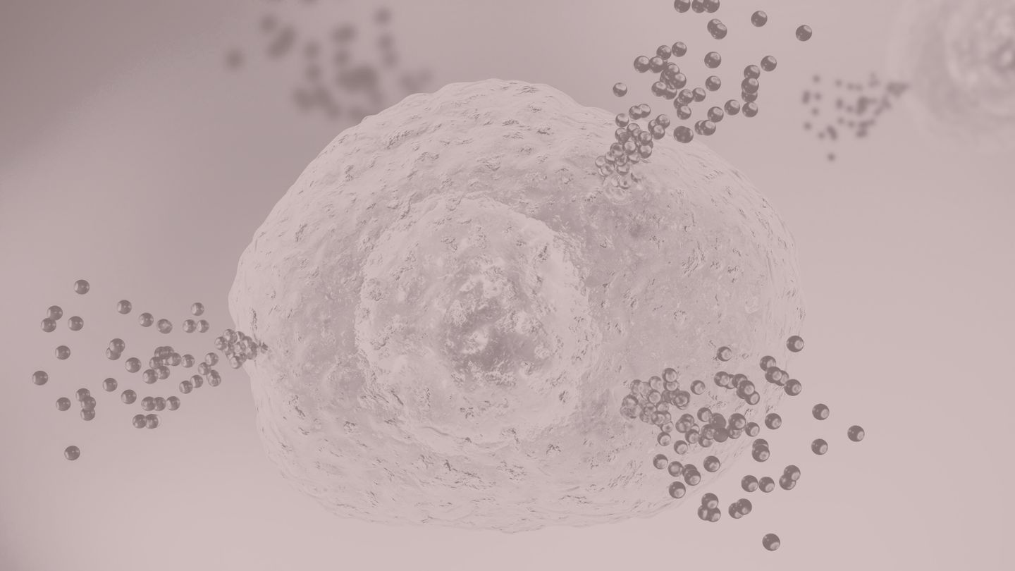 What is Histamine Intolerance?